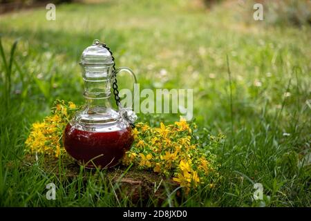 Eine Flasche rotes Öl aus Johanniskraut blüht in einem Garten Stockfoto