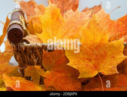 Herbstlaub in einem Weidenkorb Stockfoto