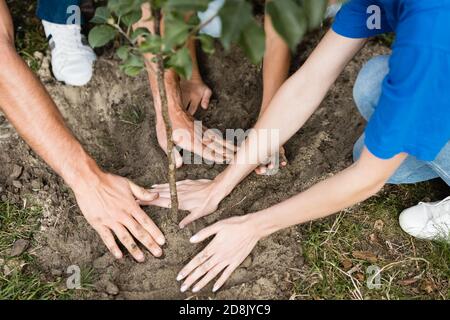Beschnittene Ansicht der Freiwilligen Familie Pflanzung junger Baum, Ökologie Konzept Stockfoto