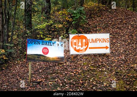 Charlottesville, USA - 25. Oktober 2020: Carter Mountain Apple Orchard Fruit Picking Farm in Virginia mit Schild an der Straße für täglich geöffnet und Kürbisse Stockfoto