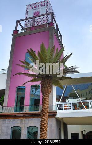 Forum, Madeira Stockfoto