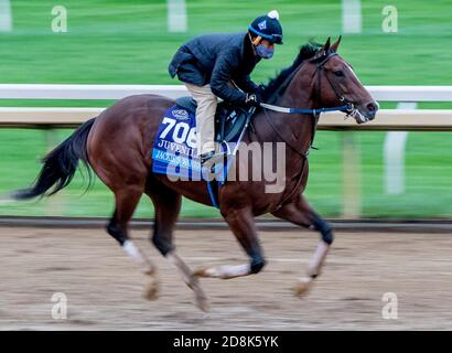 Lexington, KY, USA. Oktober 2020. 30. Oktober 2020: Jackie'S Warrior, trainiert von Trainer Steven M. Asmussen, trainiert zur Vorbereitung auf den Breeders' Cup Juvenile auf der Keeneland Racetrack in Lexington, Kentucky am 30. Oktober 2020. Scott Serio/Eclipse Sportswire/Breeders Cup/CSM/Alamy Live News Stockfoto