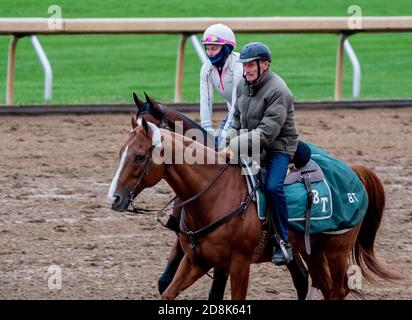 Lexington, KY, USA. Oktober 2020. 30. Oktober 2020: Trainer Barclay Tagg mit Tiz The Law auf der Keeneland Racetrack in Lexington, Kentucky am 30. Oktober 2020 Scott Serio/Eclipse Sportswire/Breeders Cup/CSM/Alamy Live News Stockfoto