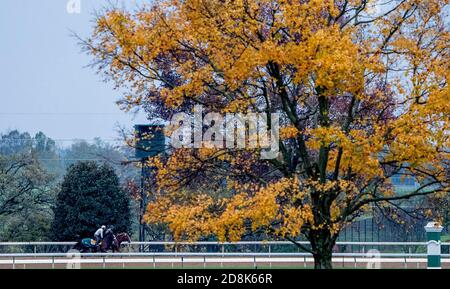 Lexington, KY, USA. Oktober 2020. 30. Oktober 2020: Trainer Barclay Tagg mit Tiz The Law auf der Keeneland Racetrack in Lexington, Kentucky am 30. Oktober 2020 Scott Serio/Eclipse Sportswire/Breeders Cup/CSM/Alamy Live News Stockfoto