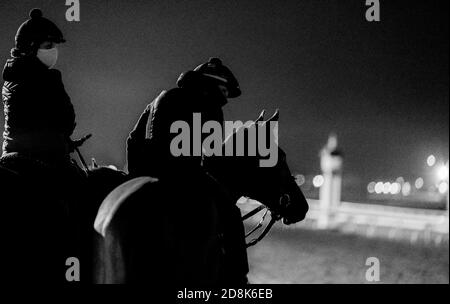 Lexington, KY, USA. Oktober 2020. 30. Oktober 2020: Am 30. Oktober 2020 wartet ein Pferd auf das Training am Morgen auf der Keeneland Racetrack in Lexington, Kentucky. Scott Serio/Eclipse Sportswire/Breeders Cup/CSM/Alamy Live News Stockfoto