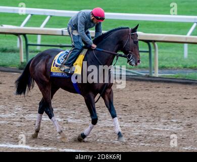 Lexington, KY, USA. Oktober 2020. 30. Oktober 2020: Higher Power, trainiert von Trainer John W. Sadler, Übungen zur Vorbereitung auf den Breeders' Cup Classic auf der Keeneland Racetrack in Lexington, Kentucky am 30. Oktober 2020. Scott Serio/Eclipse Sportswire/Breeders Cup/CSM/Alamy Live News Stockfoto