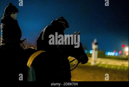 Lexington, KY, USA. Oktober 2020. 30. Oktober 2020: Am 30. Oktober 2020 wartet ein Pferd auf das Training am Morgen auf der Keeneland Racetrack in Lexington, Kentucky. Scott Serio/Eclipse Sportswire/Breeders Cup/CSM/Alamy Live News Stockfoto