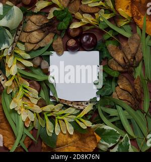 Ein kreatives Layout mit natürlichen Herbstblättern mit Papierkartennotizen. Minimaler flacher Lay-Hintergrund Stockfoto