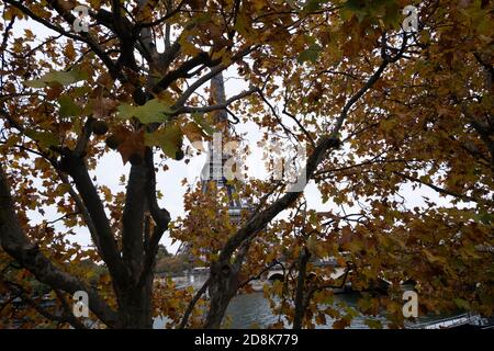 Eiffelturm durch die Herbstbaumblätter von der aus gesehen Gegenüber dem Ufer der seine auf einem trüben Grau Tag Stockfoto