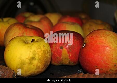 Rote und gelbe Herbstäpfel Stockfoto