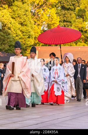 tokio, japan - oktober 10 2019: Menschenmassen fotografieren eine traditionelle japanische Hochzeit, bei der Priester mit Eboshi-Hüten und junge Miko-Jungfrauen bri anführen Stockfoto