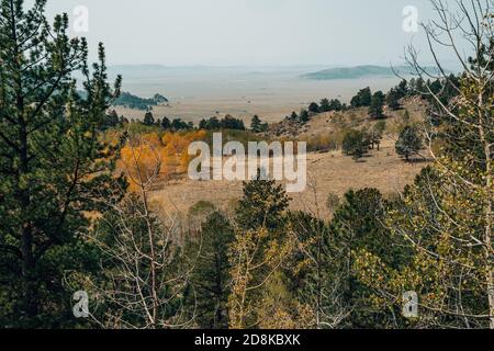 Blick vom Wilkerson Pass in Colorado im Pike National Wald im Frühherbst Stockfoto