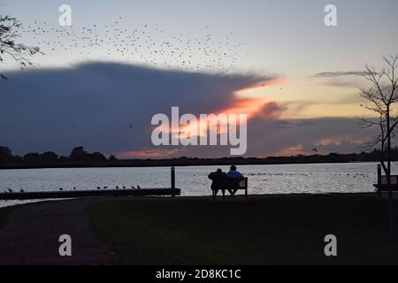 Ein Paar sitzt auf einer Bank und beobachtet den Sonnenuntergang am Oulton Broad in der Nähe von Lowestoft im Broads National Park. Ein Vogelschwarm fliegt über uns. Stockfoto