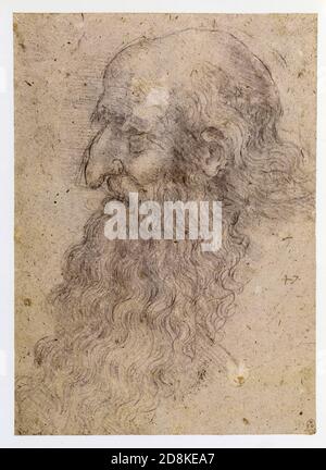 Leonardo da Vinci. Kopf eines alten Mannes. 1514-1515. Schwarze Kreide Stockfoto