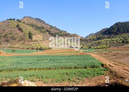 Schöne Landschaft in MOC Chau Plateau, Vietnam Stockfoto