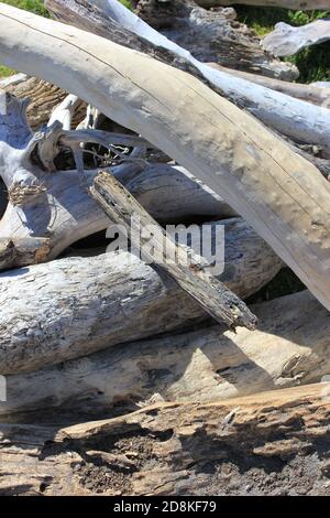 Haufen von gesammelten Treibholz vom Opotiki Strand, NZ Stockfoto