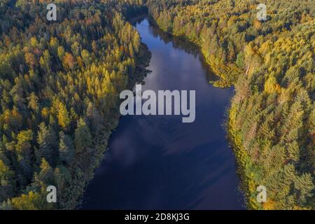 Über einem schmalen Waldsee an einem sonnigen Septembertag (Luftaufnahme). Kostroma Oblast, Russland Stockfoto