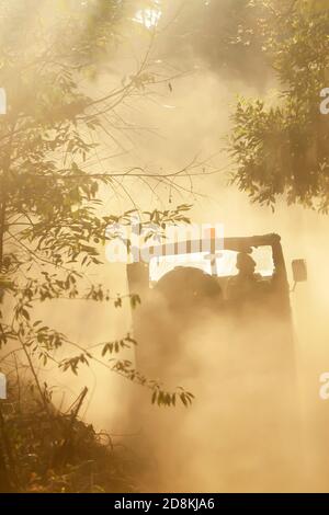 Rückansicht eines militärischen Jeeps, der auf einer staubigen Straße in einem Wald fährt. Stockfoto