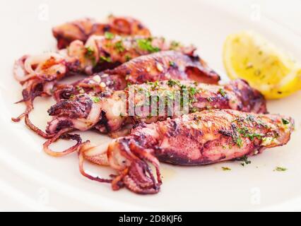 Frischer adriatischer Tintenfisch in Buzara-Sauce (flacher dof) Stockfoto