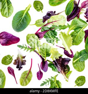 Fliegende Salatblätter isoliert auf weißem Hintergrund. Sortiment mit Rucola, Salat, Mangold, Spinatblättern Stockfoto