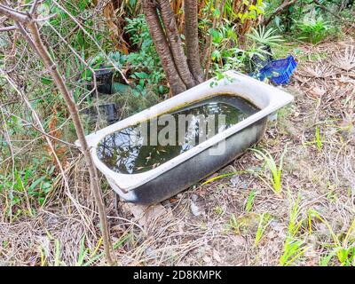 Ein Bad mit schimmeligen schmutzigen Wasser in einem Dickicht von Trockenes Gras Stockfoto