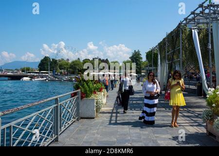 Genf, Schweiz - 29. August 2019. Schöne Sommerlandschaft an der Promenade mit Schwanen, das Ufer des Leman-Sees in Genf-Stadt, Schweiz Stockfoto