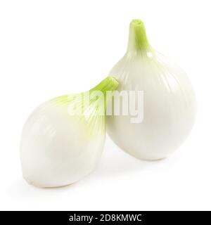 Zwiebeln isoliert auf weißem Hintergrund. Frische Bio Zwiebeln mit Scheiben aus nächster Nähe Stockfoto