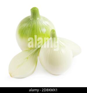 Zwiebeln isoliert auf weißem Hintergrund. Frische Bio Zwiebeln mit Scheiben aus nächster Nähe Stockfoto