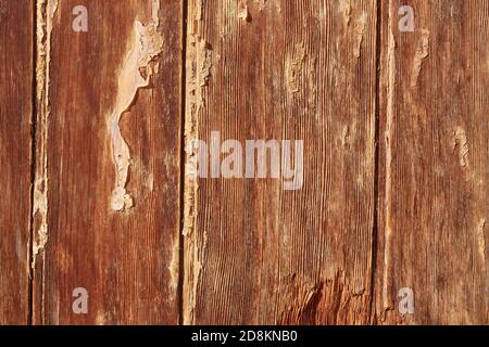 Nahaufnahme einer texturierten Oberfläche aus Holz Stockfoto
