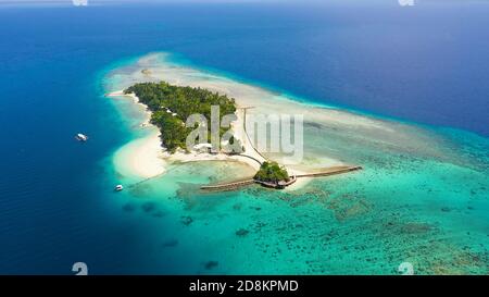 Luftaufnahme des Sandstrandes auf einer tropischen kleinen Insel Liguid mit Palmen. Little Cruz Island, Philippinen, Samal. Stockfoto