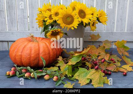 Ein großer, orangefarbener Kürbis, nahe gelegene Ahornblätter und ein Bukett aus gelben Sonnenblumenblüten in einem Eimer stehen auf dem Tisch, im Freien. Herbsthintergrund. Hochwertige Fotos Stockfoto