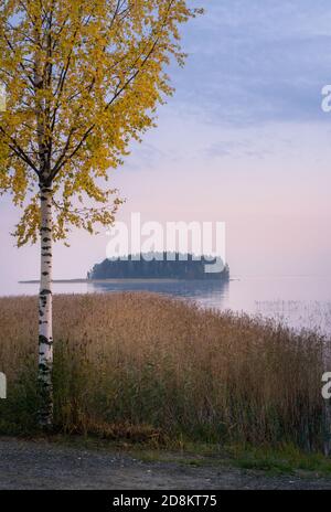 Ruhige Herbst Abendlandschaft mit Herbstfarben Birken und Ruhiger See in Finnland Stockfoto