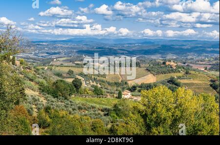 Luftaufnahme der Felder mit Weinbergen, Olivenhainen und Zypressen in der Nähe von San Gimignano, Toskana, Italien Stockfoto