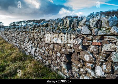 Traditionell gebaute Trockensteinmauer, oder Deich, in Schottland Stockfoto