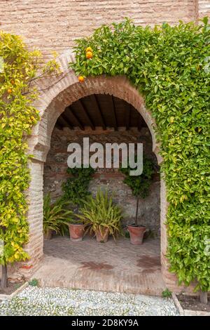 Bogeneingang in der Casa de los Amigos - eine Pension für die Freunde des Sultans - Teil des Generalife Palastes, La Alhambra, Granada, Andalusien, Spanien Stockfoto