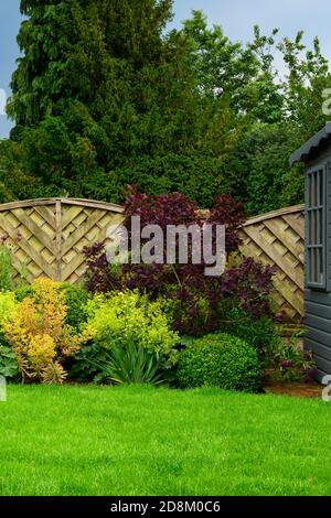 Landschaftlich gestalteter privater Garten in der Nähe (Cottage-Design, Sommerblumen, gemischte Randpflanzen, Sträucher, buntes Laub, Zaun) - Yorkshire, England, Großbritannien Stockfoto