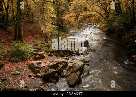 Fluß Esk aus Haus Trogbrücke in Eskdale, Cumbria, UK Stockfoto