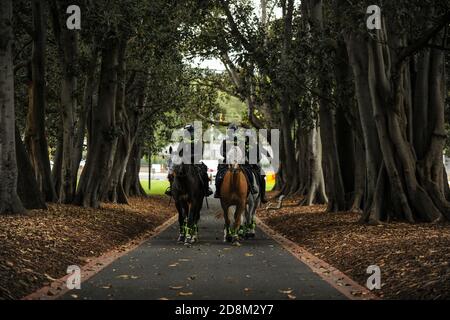 Melbourne, Australien 31 Oct 2020, Mounted Police Officers Ride up a path between rows of trees in Treasury Gardens in Vorbereitung auf eine große Aktion der Polizei, um einen Anti-Regierung-Protest für den Park zu kontrollieren geplant. Kredit: Michael Currie/Alamy Live Nachrichten Stockfoto