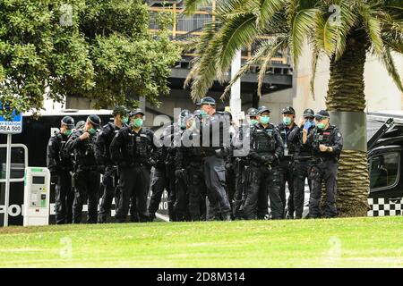Melbourne, Australien 31 Oct 2020, Public Order Response Police marschiert in Formation in Treasury Gardens ein, um einen regierungsfeindlichen Protest zu stören, der für Samstagmorgen geplant ist. Kredit: Michael Currie/Alamy Live Nachrichten Stockfoto