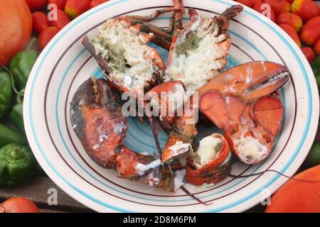 Gekochter Hummer als Luxus Gourmet Meeresfrüchte mit Tomaten Hintergrund Stockfoto