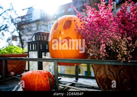 halloween Kürbisse und Blumen an einem sonnigen Tag Stockfoto