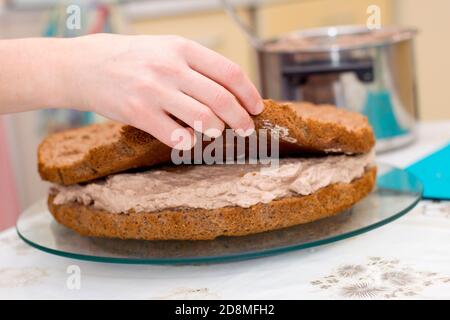 Arbeitsprozess des Backens Kuchen zu Hause. Nahaufnahme der weiblichen Hand Belag Creme auf Schokolade Biscuit. Kulinarisches und köstliches Dessertkonzept. Stockfoto