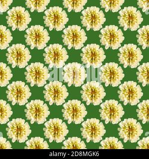 Nahtloses Muster mit weißen Kleeblüten auf grünem Hintergrund. Einfache Zeichnung für die Anwendung auf jeder Oberfläche. Vorlage. Stockfoto