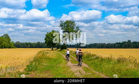 Sonnige Sommer britische Landschaft Szene mit blauem Himmel, weißen Wolken und eine Spur, die in die Ferne. Eine Familie, die vom Fotografen wegradelt Stockfoto