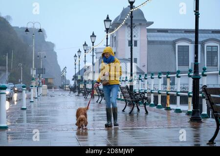 Stürmisches Wetter - Penarth, Wales Großbritannien. Oktober 2020. Das Met Office hat eine gelbe Wetterwarnung ausgegeben, als Sturm Aiden das Vereinigte Königreich schlägt. Eine Frau und ihr Hund kämpfen gegen Wind und Regen, um in Penarth am Meer entlang zu gehen. Stockfoto