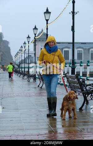 Stürmisches Wetter - Penarth, Wales Großbritannien. Oktober 2020. Das Met Office hat eine gelbe Wetterwarnung ausgegeben, als Sturm Aiden das Vereinigte Königreich schlägt. Eine Frau und ihr Hund kämpfen gegen Wind und Regen, um in Penarth am Meer entlang zu gehen. Stockfoto