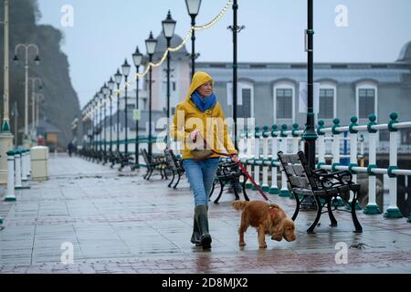 Stürmisches Wetter - Penarth, Wales Großbritannien. Oktober 2020. Das Met Office hat eine gelbe Wetterwarnung ausgegeben, als Sturm Aiden das Vereinigte Königreich schlägt. Eine Frau und ihr Hund kämpfen gegen Wind und Regen, um in Penarth am Meer entlang zu gehen. Stockfoto