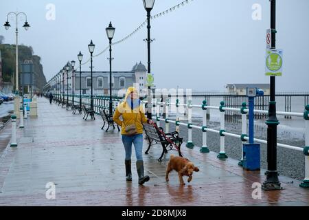 Stürmisches Wetter - Penarth, Wales Großbritannien. Oktober 2020. Das Met Office hat eine gelbe Wetterwarnung ausgegeben, als Sturm Aiden das Vereinigte Königreich schlägt. Eine Frau und ihr Hund kämpfen gegen Wind und Regen, um in Penarth am Meer entlang zu gehen. Stockfoto