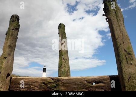 Holzschutz und Leuchtturm am Spurn Point, in der Nähe von Kilnsea, East Yorkshire, Großbritannien. Stockfoto