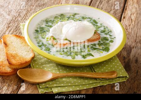 Köstliche kolumbianische Changua-Suppe aus Eiern, Milch, Kräutern und Brot aus der Nähe in einem Teller auf dem Tisch. Horizontal Stockfoto